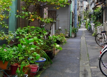 鉢植えが通行の妨げになる